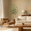 Whizmax Olive Trees Artificial Indoor, 5FT Tall Olive Tree Plants, Faux Olive Tree with Realistic Trunk, Leaves, Fruits for Home Office Decor - 3 of 4