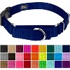 Country Brook Petz Heavy Duty Nylon Martingale Dog Collar with Deluxe Buckle - 30+ Vibrant Color Options - 2 of 4