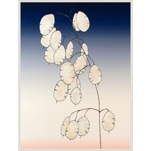 Amanti Art Money Plant II by Michael Willett Framed Canvas Wall Art - 1 of 4