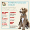Country Brook Petz® Deluxe Dog Collar - Country and Western Collection - Made In The U.S.A. - 4 of 4