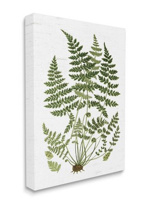 Stupell Industries Forest Botanicals Charming White Willow Greenery
