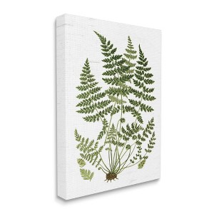 Stupell Industries Forest Botanicals Charming White Willow Greenery - 1 of 4