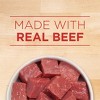 Purina ONE Smart Blend with Real Beef and Barley Adult Wet Dog Food Can - 13oz - 4 of 4