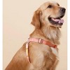 Racxily 2-in-1 Durable Nylon Dog Harness and Leash, with Soft Padded Handle,Escape Proof and Quick Fit to Adjust Dog Harness - 3 of 4