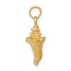 Black Bow Jewelry 14k Yellow Gold 3D Conch Shell Pendant, 10mm - 2 of 4