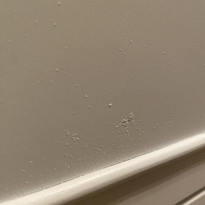 Guest review image 2 of 2, zoom in