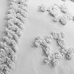 light grey - elegant