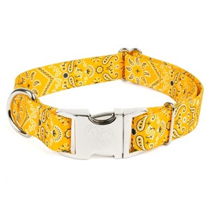 Country Brook Petz Premium Dog Collar - Country and Western Collection - 1 of 4