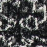 charcoal/ivory