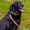 Country Brook Petz Premium Dog Collar and Leash - Country and Western Collection - 2 of 4