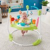 Fisher-Price Fitness Fun Folding Jumperoo