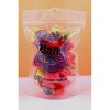 Planet Xpress Planet Twirls – Freeze-Dried Fruity Candy Twists – Sweet, Crunchy, and Colorful Space-Themed Snack - 3 of 4