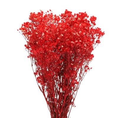 Unique Bargains Natural Dried Baby's Breath Flowers Branches for Wedding Party Decoration Red 1 Pc