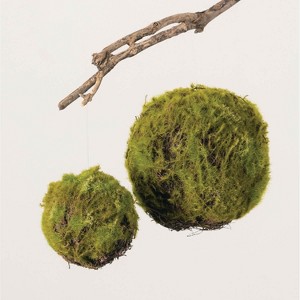 Sullivans Set of 2 Moss Orbs Decorative Filler 8"H & 5.5"H Green - 1 of 4