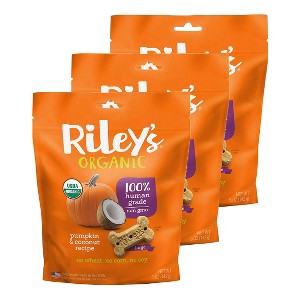 Riley's Organics Pumpkin & Coconut Large Bone Dog Treats - 1 of 4