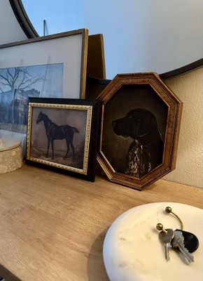 Guest review image 1 of 1, zoom in