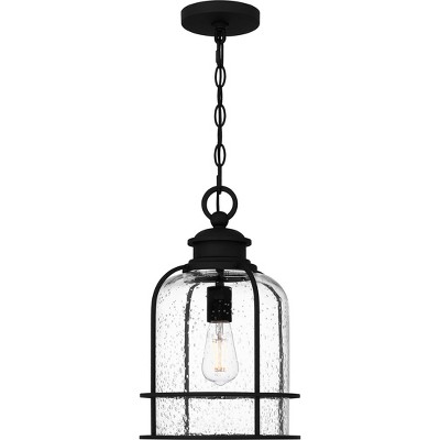 Bowles 1-Light Earth Black Outdoor Hanging Lantern