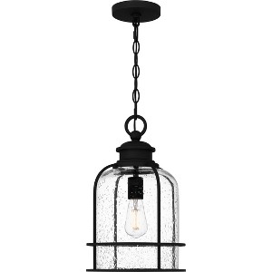 Bowles 1-Light Earth Black Outdoor Hanging Lantern - 1 of 4