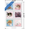 Trends International Keith Kimberlin - Kittens Unframed Wall Poster Prints - 3 of 4