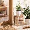 6"x22" Metal Plant Trellis Brass Finish - Hearth & Hand™ with Magnolia - 2 of 3