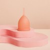 Saalt Soft Menstrual Cup - Desert Blush - Small - image 4 of 4