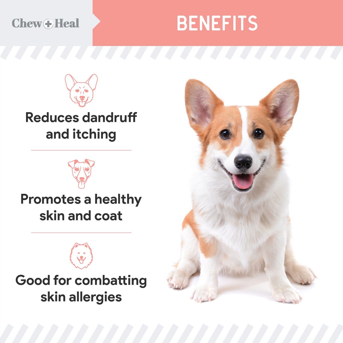 Chew + Heal Pure Wild Alaskan Omega Salmon Oil Formula Skin & Coat Liquid Supplement for Dogs - thumbnail 8