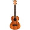 Kala Learn To Play Tenor Ukulele Starter Kit - 2 of 4