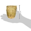 Prevue Pet Products BPV105 Sterilized Natural Coconut Fiber for Bird Nest (60000105) - 4 of 4