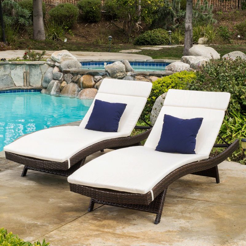 Salem Set of 2 Chaise Lounge Cushions - Christopher Knight Home, 3 of 6