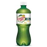 Canada Dry Zero Sugar Ginger Ale Soda - 20 fl oz Bottle