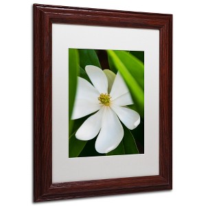 Trademark Fine Art -Kurt Shaffer 'White Magnolia Flower' Matted Framed Art - 1 of 4
