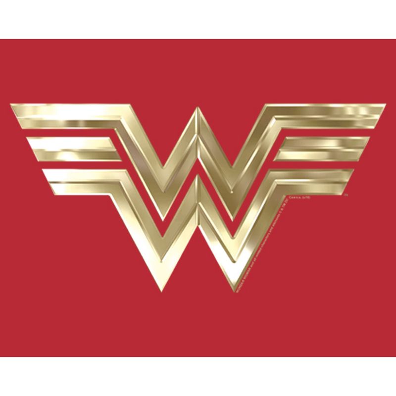 Men's Wonder Woman 1984 Metallic Logo Pull Over Hoodie, 2 of 5