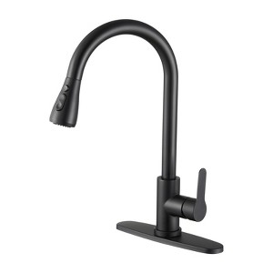 3-Function Single Handle Pull-Down Kitchen Faucet with Deck Plate - 1 of 4