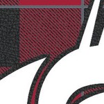 washington state cougars