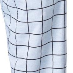 windowpane