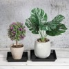 Unique Bargains Plastic Square Home Decor Plant Saucers for Garden Potted 10 Pcs - 4 of 4