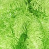 Vickerman 36" Lime Fir Fir Artificial Christmas Teardrop, Unlit - 3 of 4