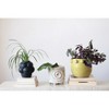 Storied Home Bulbous Stoneware Vase with Raised Dots and Matte Finish - 2 of 4