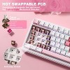 Wireless Mechanical Keyboard, 75% Layout with Knob, Hot Swap Gasket Custom Structure, Creamy Pre-lubed Switches, RGB Backlit, Bluetooth/Type-C/2.4G - 4 of 4