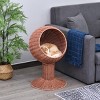 LAOTIES Elevated Cat Bed with Rotating Wicker Pod,Enclosed Rattan Cat House with Soft Cushion,Raised Basket for Indoor Cats - 3 of 4