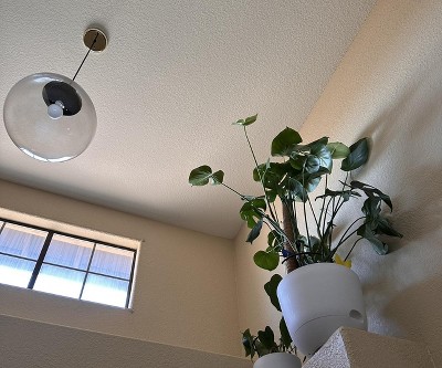 Guest review image 2 of 3, zoom in