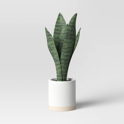 Small Snake Plant in Ceramic Pot White - Threshold&#8482;