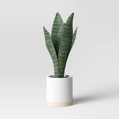 Photo 1 of 2 Count Small Snake Plant in Ceramic Pot White - Threshold