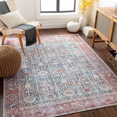Hauteloom Rust Catadupa Distressed Washable Area Rug