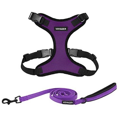 Voyager Step-In Lock Adjustable Dog & Cat Harness and 5ft Leash Combo