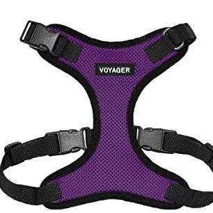 purple black trim (leash bundle)