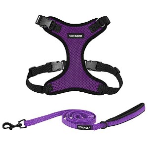 Voyager Step-In Lock Adjustable Dog & Cat Harness and 5ft Leash Combo - 1 of 4