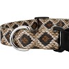 Country Brook Petz Deluxe Rattlesnake Dog Collar - Made In The U.S.A. (3/4 Inch, Medium) - 4 of 4