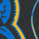 st louis blues