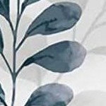 white/blue (set of 6)